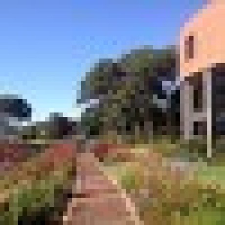 Hub Jim Nsover Github - Gorgeous Light Texture - Mobile