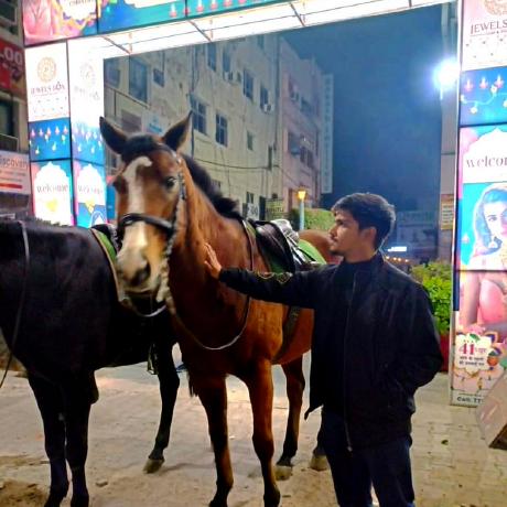 Adib6637 Sheikh Adib Github - Elegant Colorful Pattern - Mobile