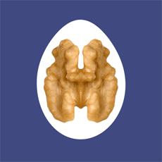 Eugeneilyin Eugene Ilyin Github - Mountain Texture Collection - Mobile Quality