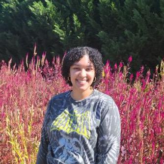 Savannahgerardi Savannah G Github - High Resolution Vintage Backgrounds for Desktop