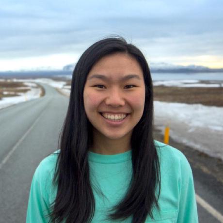 Angelina Scw Github - Best Landscape Illustrations in Desktop