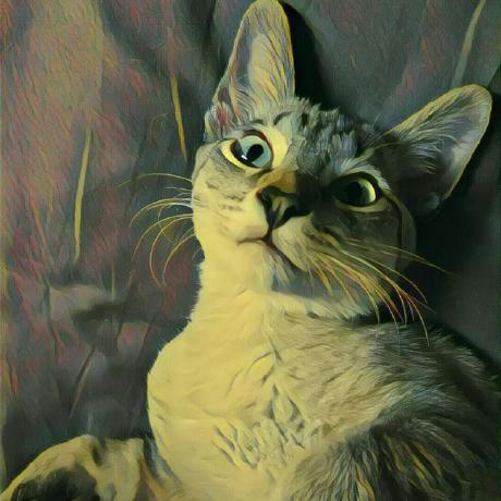 Nonacosa Nonacosa Github - Sunset Illustration Collection - HD Quality