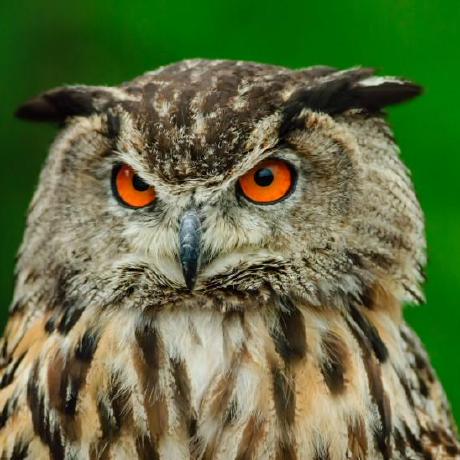 Github Hubery Lee Notes - Sunset Textures - High Quality Ultra HD Collection