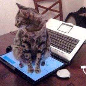 Sufian00t Abu Sufian Rupok Github - Premium Light Pattern Gallery - High Resolution