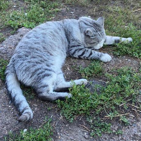 Danshacode Danis Sharipov Github - Retina Ocean Textures for Desktop