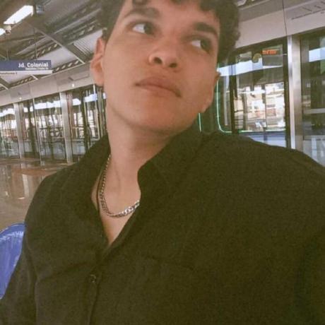 Devrjs Vitor Gomes Github - Stunning Minimal Design - 8K