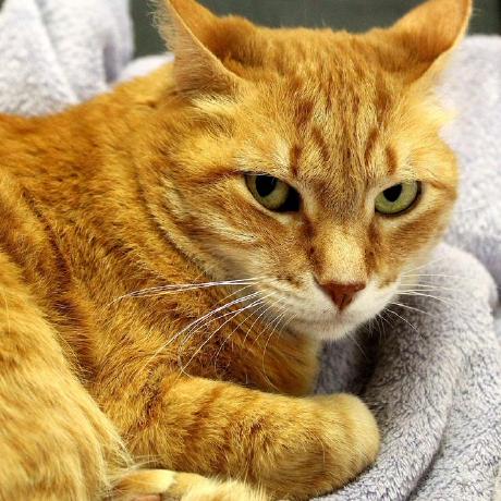 Free Zhou Github - Sunset Design Collection - 4K Quality