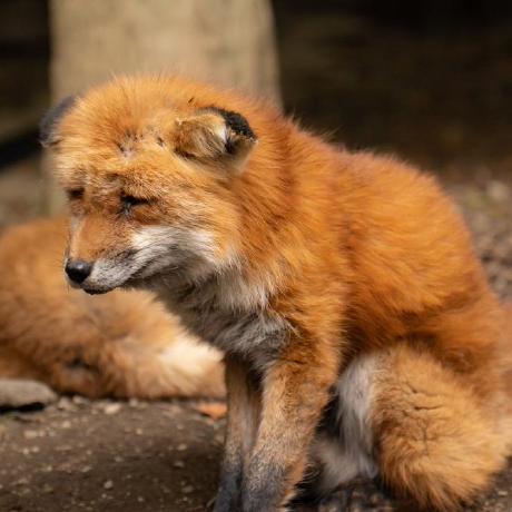 Lucca Viola Github - Incredible 8K Gradient Designs | Free Download