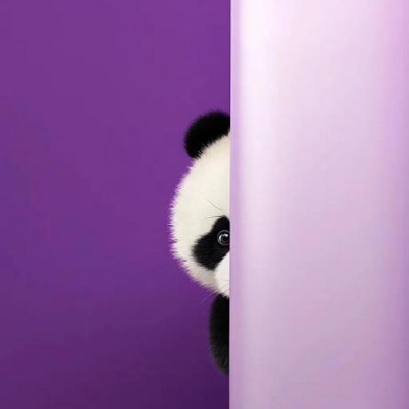 Dancoates Alt Github - Best Nature Patterns in Retina