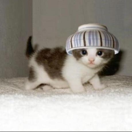 Justinshawasana Justin Shaw Github - Gorgeous Abstract Photo - Retina