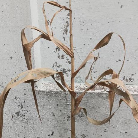 Washed Plop Stucco Github - Elegant Minimal Wallpaper - Retina