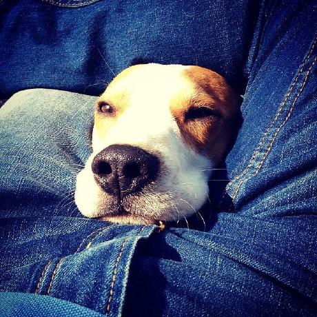 Github Allasca Allasca Github Io Https Allasca Github Io - Light Illustrations - Perfect HD Collection