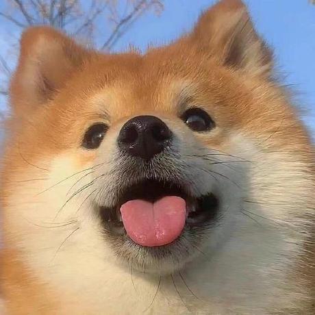 Harroldx е џдѕіз њ в Github