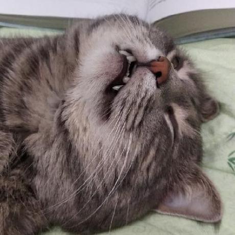 Hengkessa Iki Github - High Quality Retina Abstract Textures | Free Download