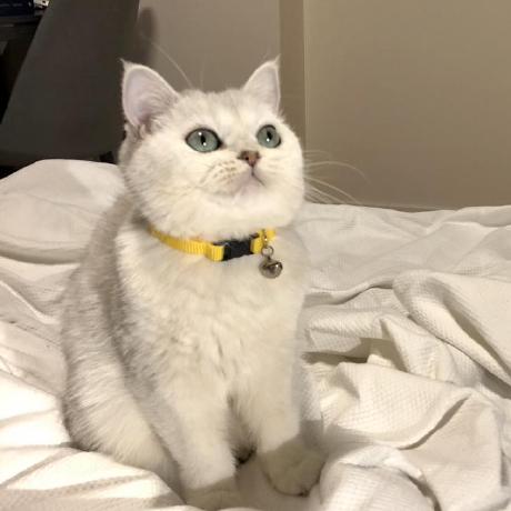 Github Cuyler36 Acse Old Https Github Com Cuyler36 Acse - City Images - Creative Retina Collection