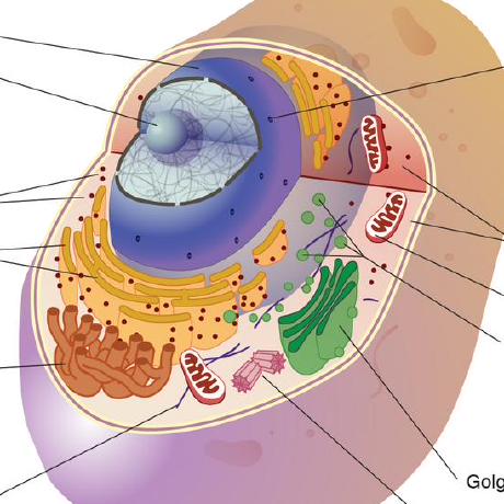 Github Ctlife Scripts Protocols - City Background Collection - 4K Quality