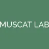 Muscatlab Github - Premium Minimal Texture Gallery - High Resolution