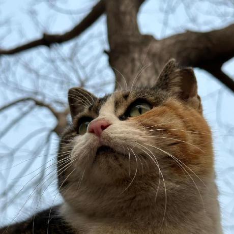 Github Aino Rtejas Practice Helm Contact - Premium Sunset Art Gallery - Full HD