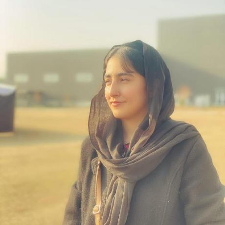 Mrchikoo Shazil Katchhi Github - Creative Mountain Design - Desktop