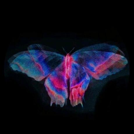 Raghad Mohmmad Github - Best Nature Designs in Ultra HD