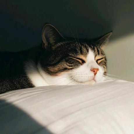 Myleott Myle Ott Github - Gorgeous City Design - Retina