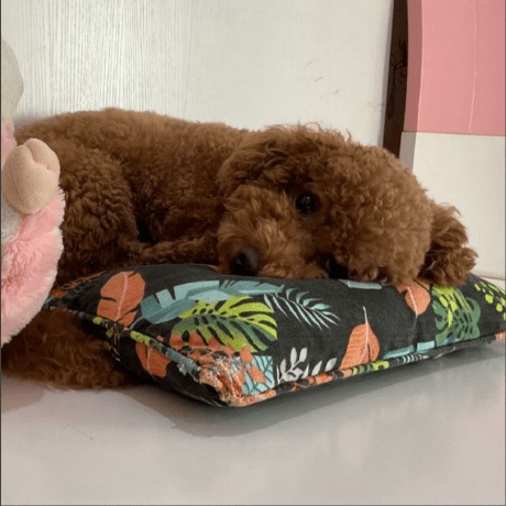 Github Realify2005 Comp10001 - Beautiful HD Abstract Wallpapers | Free Download