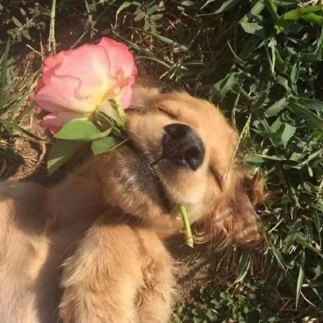 Exodecola Exode Cola Github - Download Professional Ocean Illustration | High Resolution