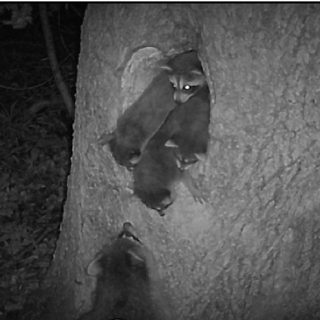 Danhumphrey Dan Humphrey Github - Ultra HD Vintage Design - Retina