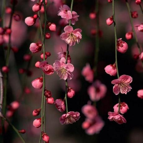 Dscl Ing Dscling Github - Best Landscape Backgrounds in HD