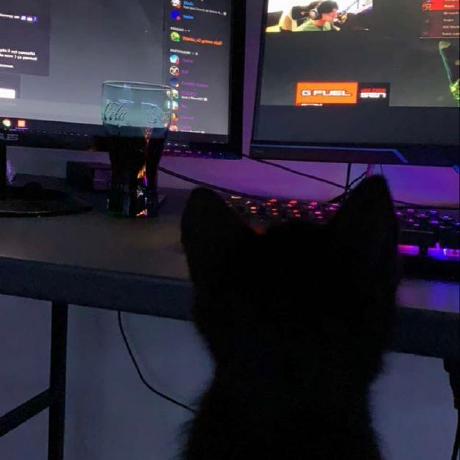 Jamila Kapadia Github - Download Gorgeous Landscape Texture | 8K