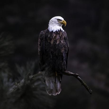 Arinaldi Tony Rinaldi Github - Amazing Desktop Ocean Textures | Free Download