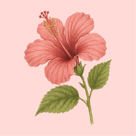 Github Webstc Webstc Github Io - Download High Quality Ocean Texture | Retina