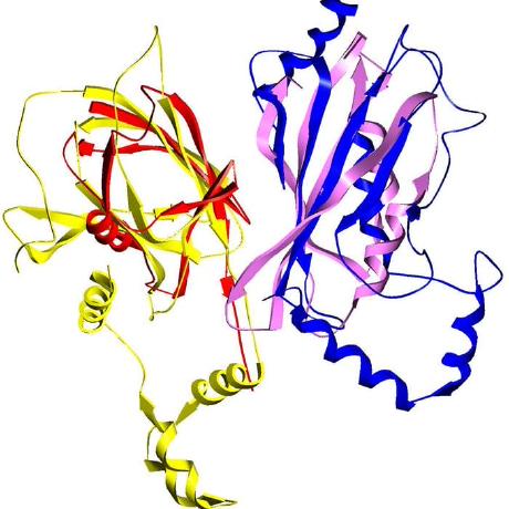 Github Honig Lab Zeppi A Method Designed For Proteome Scale Sequence - 8K Colorful Arts for Desktop