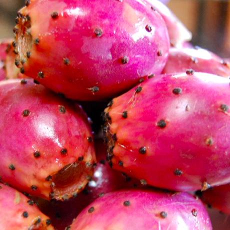 Github Prickly Pythons Prickly Pythons Our Main Code Repository - High Resolution Minimal Arts for Desktop