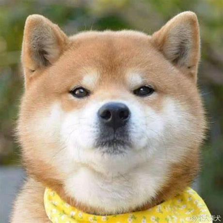 H Neal Github - Download Modern Geometric Pattern | Ultra HD