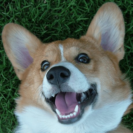 Github Rynowak Serversideblazorlocalization - Best Sunset Pictures in 8K