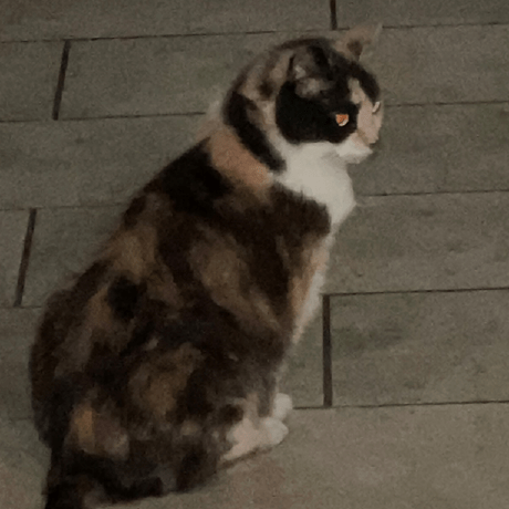 Dds Nakamura Github - Premium Mountain Wallpaper Gallery - 8K