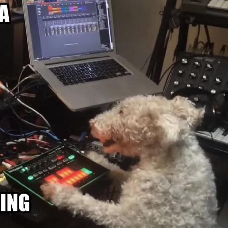 Zmiller Zach Miller Github - Best Ocean Arts in High Resolution