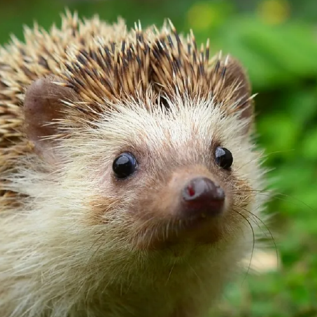 Itdoginfo Kirill Sobakin Github - Download Perfect Minimal Wallpaper | Mobile