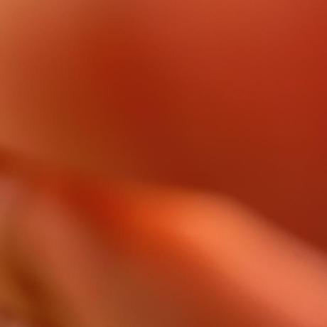 Alexanderkirkpatrick Alexander Kirkpatrick Github - Best City Wallpapers in High Resolution