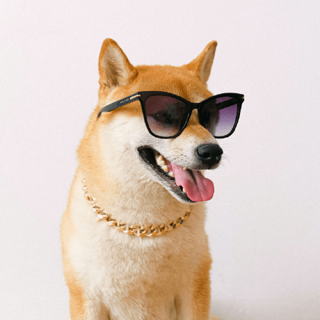 Fluffy Shibainu Github - Amazing 8K City Images | Free Download