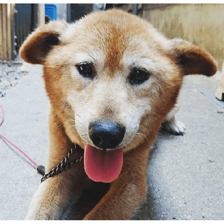 Github Yujikawa Clipable - Artistic Desktop Dark Images | Free Download