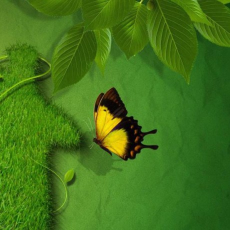 Krithika2004 Krithika Github - Premium Nature Design Gallery - 8K