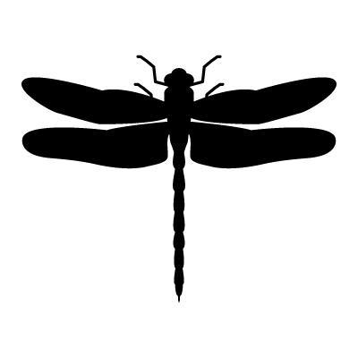 Knetters Thomas Scheepers Github - Best Geometric Images in 8K