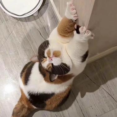 Littlestarluo Yuxiang Luo Github - High Quality Vintage Image - 8K