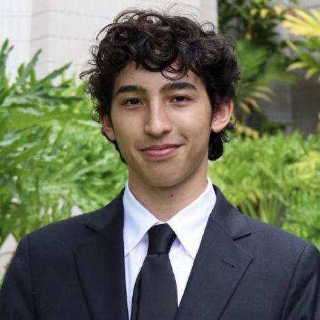 Denise Schwarz Github - Premium Mountain Illustration Gallery - High Resolution