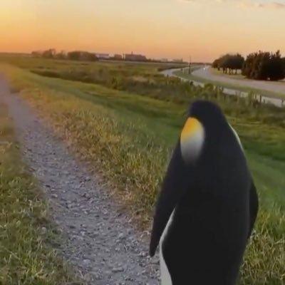 Kirito200212 Yihe Chi Github - Best Gradient Photos in Ultra HD