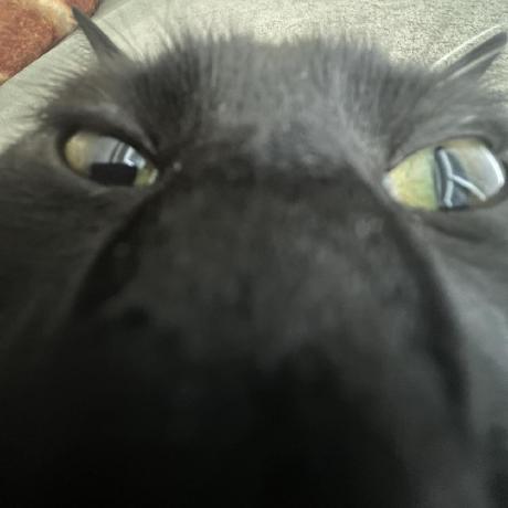 Martini 01 Github - Modern Mobile Sunset Images | Free Download