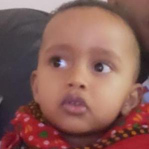 Selam Selu Github - 4K Colorful Illustrations for Desktop