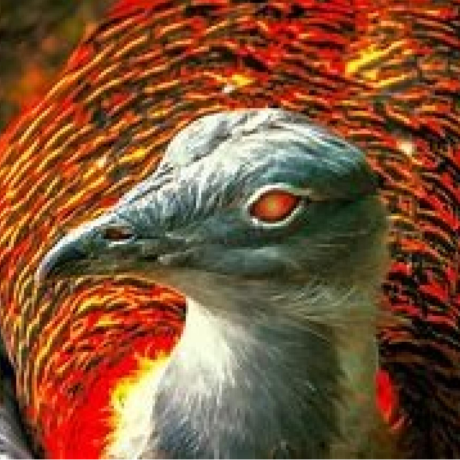 Jashfeer Jashfeer Abdullah Pe Github - Stunning Mountain Design - Mobile